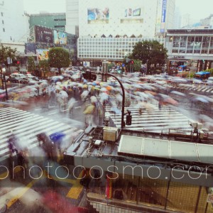 eDMONdphotogrphy.com 57609